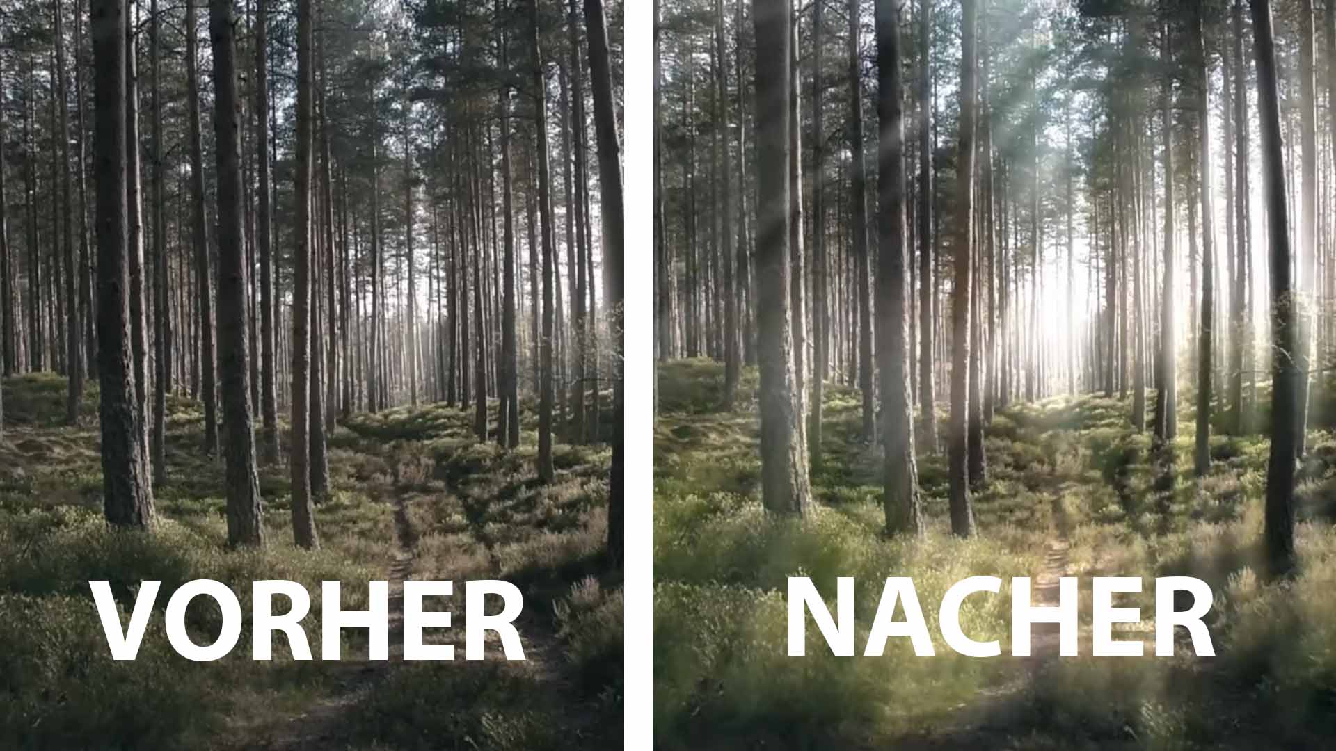 Light Rays Vorher/Nacher