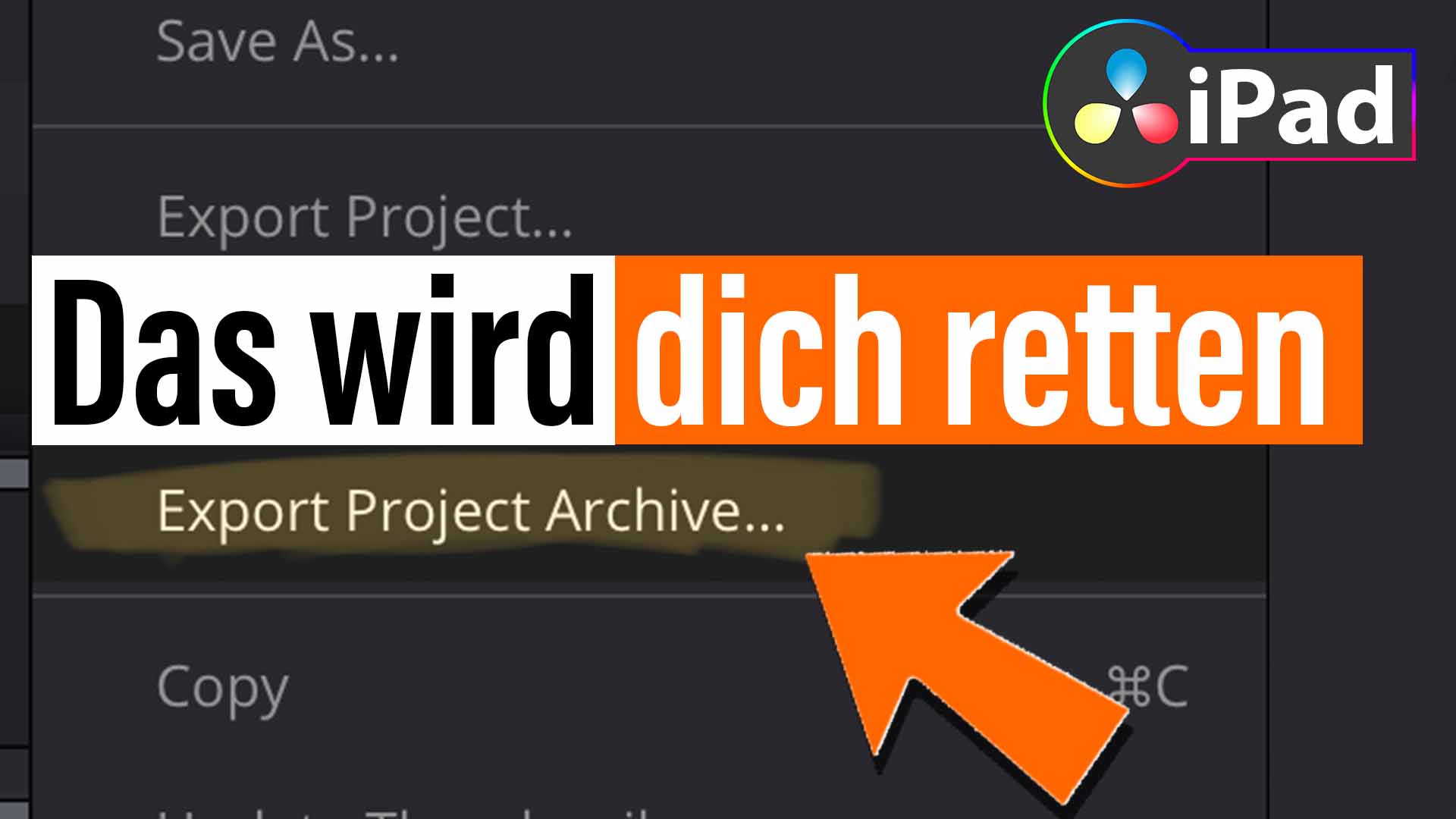 Projekt Archive Export in DaVinci Resolve iPad (So geht’s)