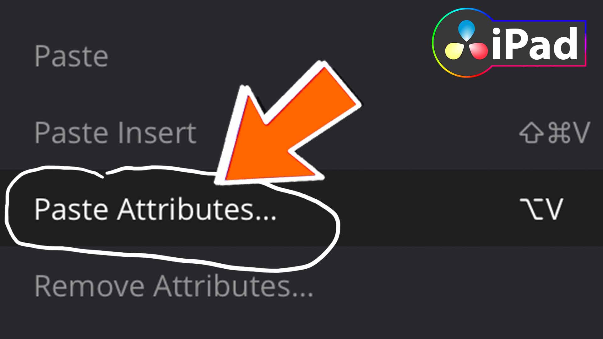So KOPIERST du Video Attribute in DaVinci Resolve iPad!