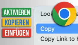 Text von blockierter Webseite kopieren! [So geht's]