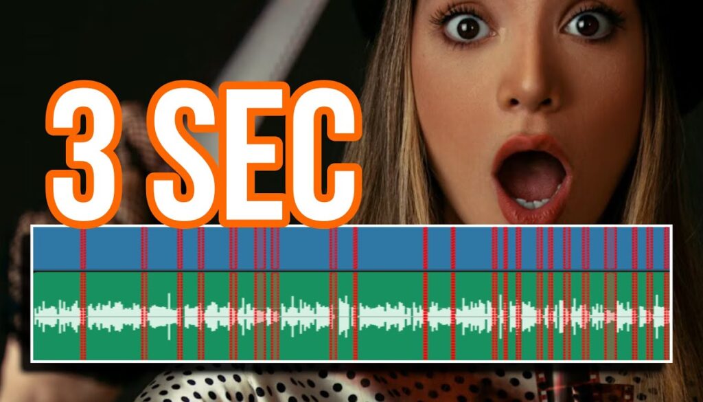 Ripple Delete Silence (Autom. Pausen Cutten) DVR iPad