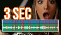 Ripple Delete Silence (Autom. Pausen Cutten) DVR iPad