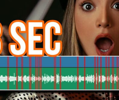 Ripple Delete Silence (Autom. Pausen Cutten) DVR iPad